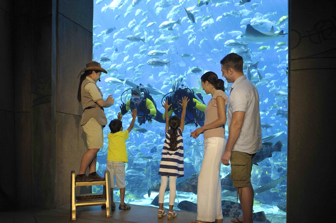 The Lost World Aquarium Tickets (Formerly The Lost Chambers) Ticket